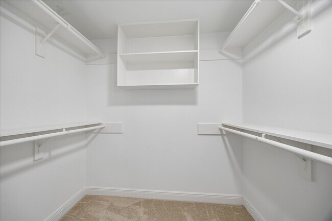 Building Photo - 12427 Brandywyne Dr