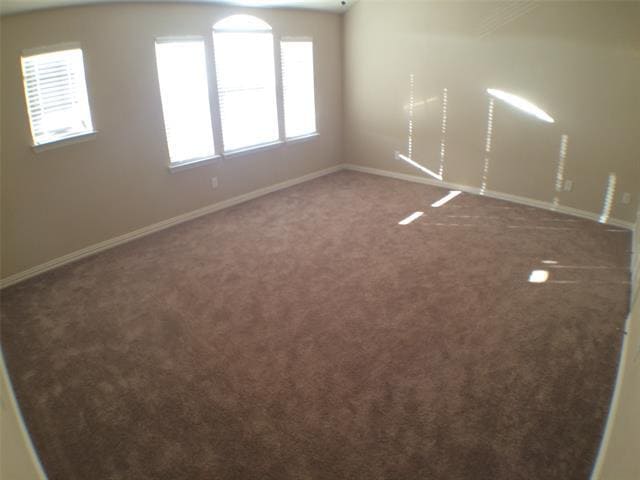 Building Photo - 935 Shelby Ln