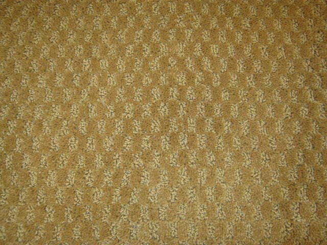 Contemporary Carpet - 4429 N Banner Dr