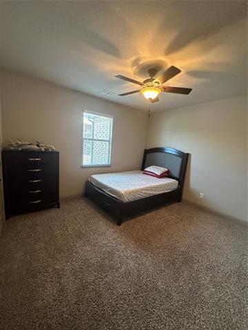 Building Photo - 3809 Brookridge Ct
