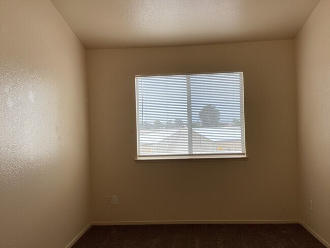 Building Photo - Remodeled!
