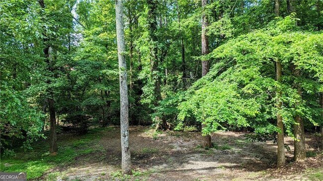 Building Photo - 4093 Hideaway Dr