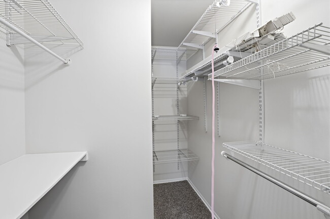 Building Photo - 1210 Braxton Ct