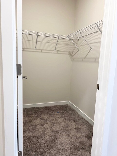 Building Photo - 2419 Greyfriar Lp