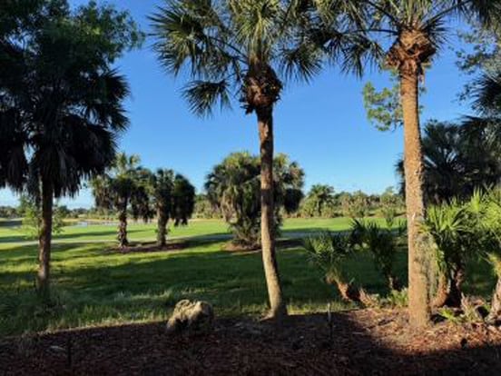 Building Photo - 9142 Cherry Oaks Ln