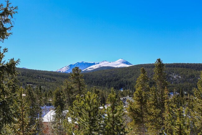Building Photo - Amazing views! On bus route! 1 Year Lease!