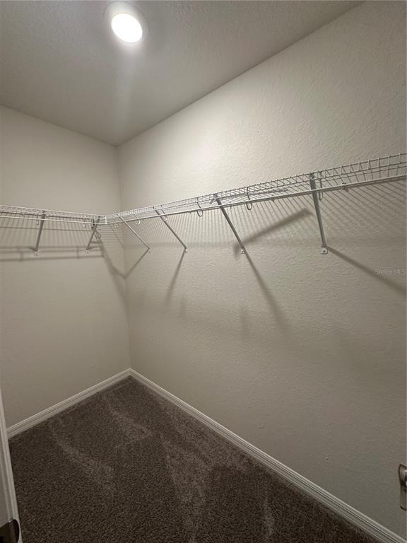 Building Photo - 452 Huckleberry Blossom Dr