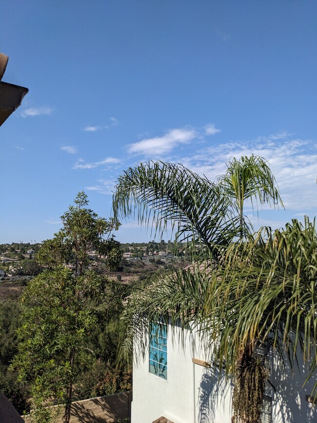 Building Photo - 3106 Via Puerta