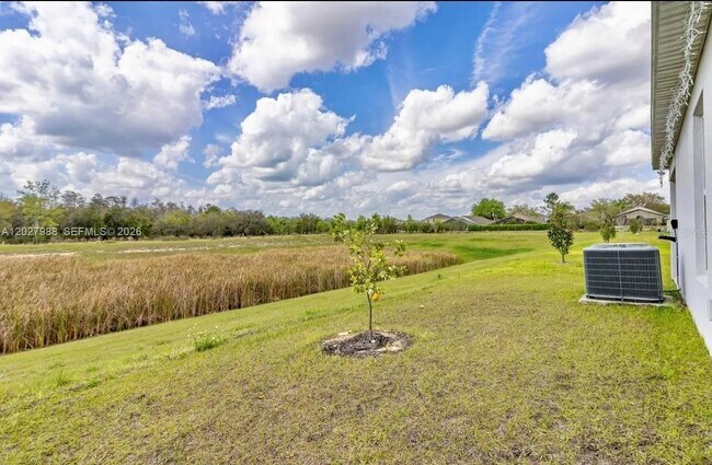 Building Photo - 1136 Papaya Cir.