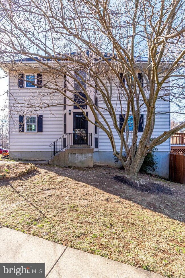 Building Photo - 3000 Winter Pine Ct
