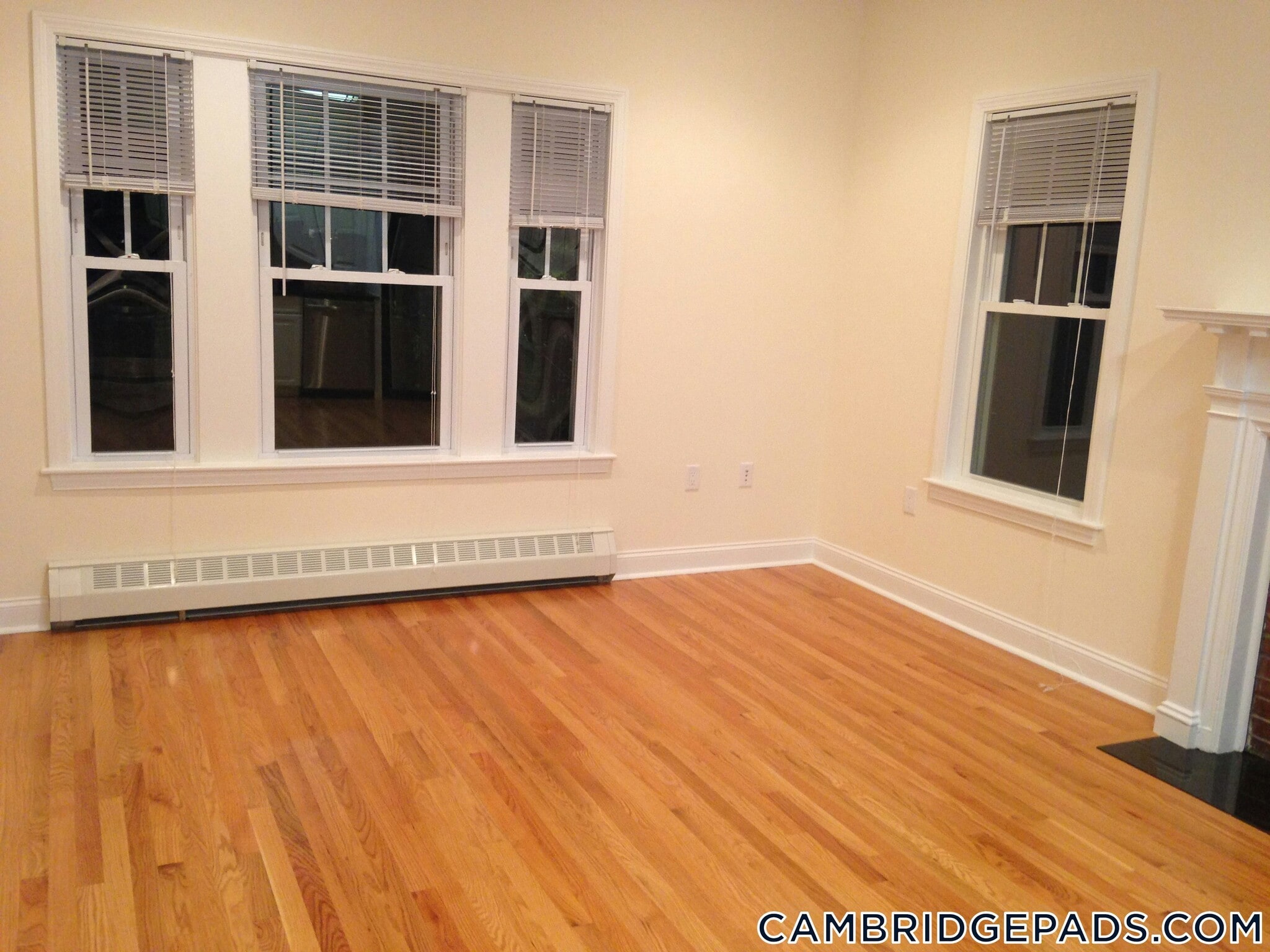 Building Photo - 65 Langdon St