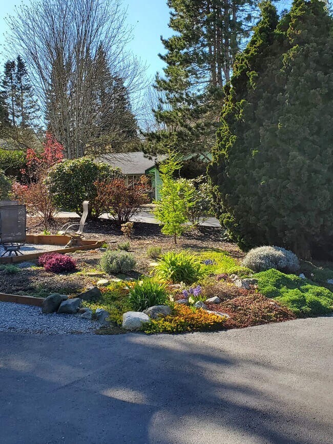 Front yard, for garden lounging - 8120 Kitamat Way