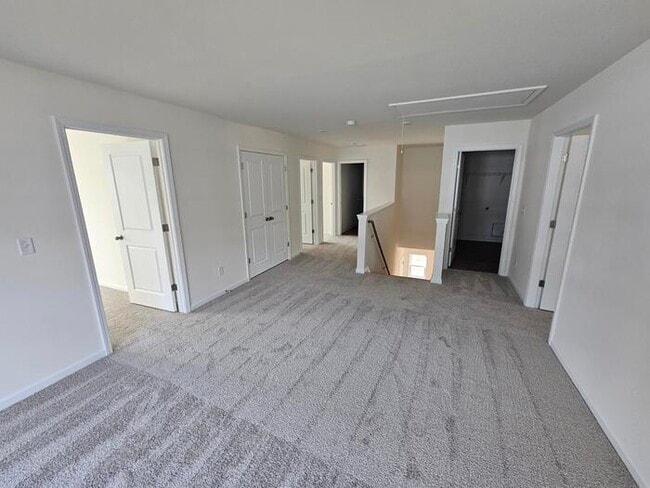 Building Photo - Brand new home in Chapin 5/3