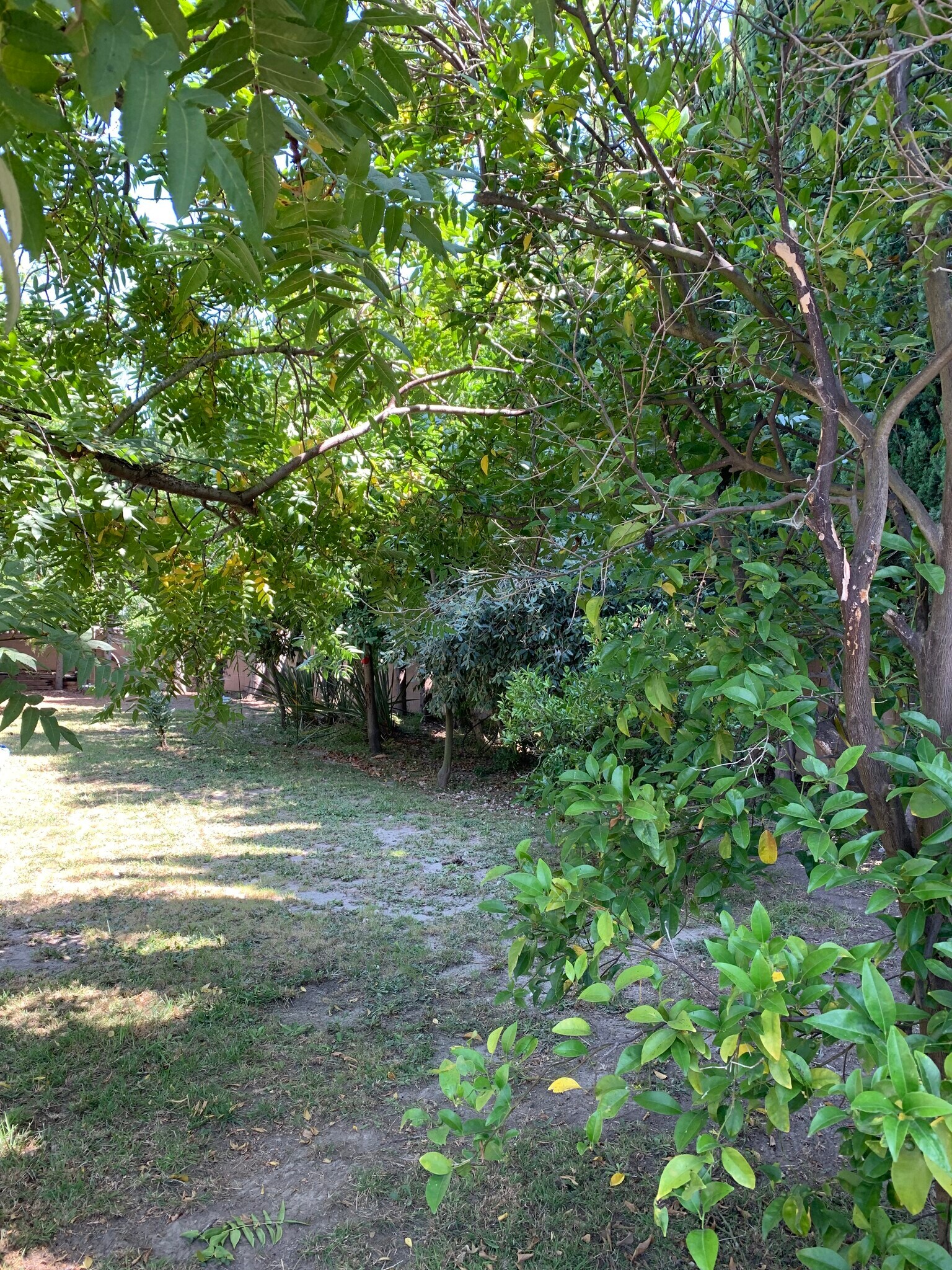 Building Photo - 2751 Tigertail Dr