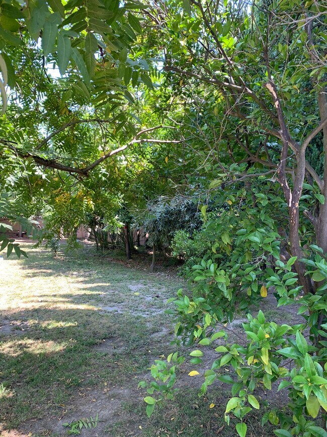 Building Photo - 2751 Tigertail Dr