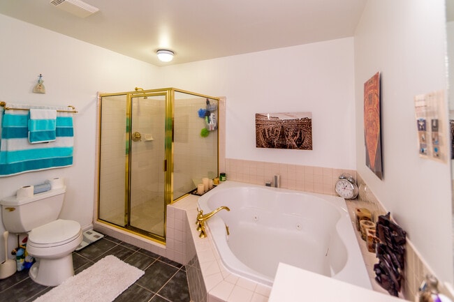 Master Bath - 1735 Peachtree St NE