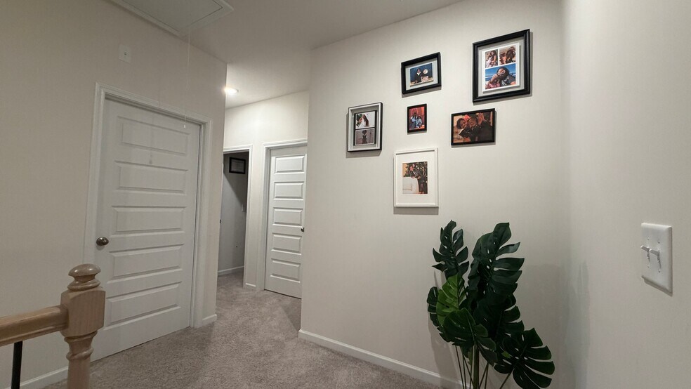 Building Photo - 3840 Pressley Ln