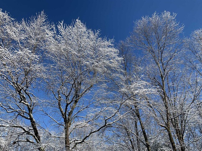 Building Photo - 74 Hilltop Rd