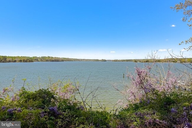 Building Photo - 19479 N Snow Hill Manor Rd