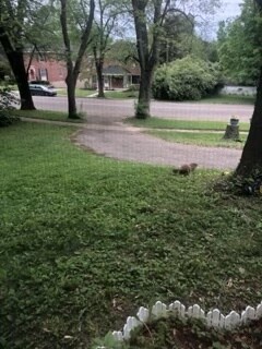 Half of Front yard - 2408 S Patterson Blvd