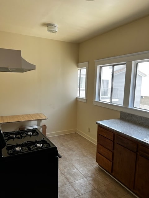 Kitchen2 - 959 N Wilton Pl