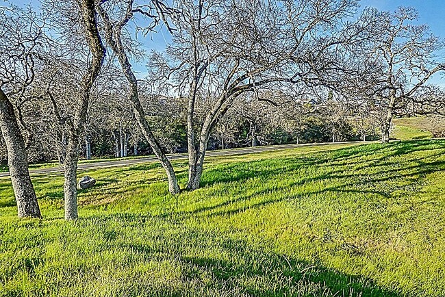 Building Photo - 108 Lost Oak Ct