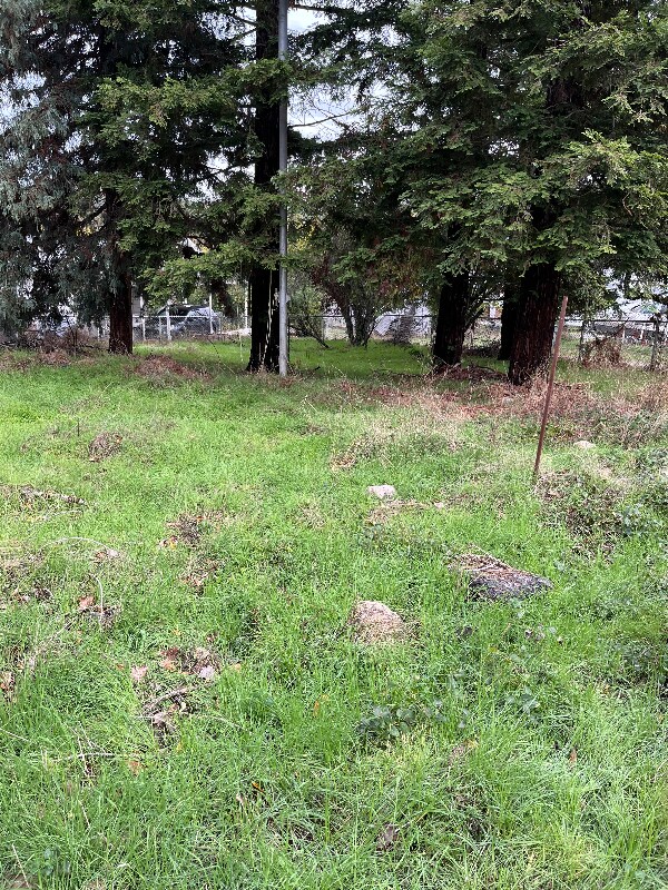 Building Photo - 39 Stark Ln