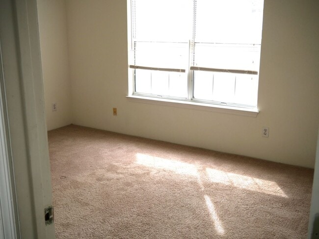 Building Photo - 113 Amelia Ct