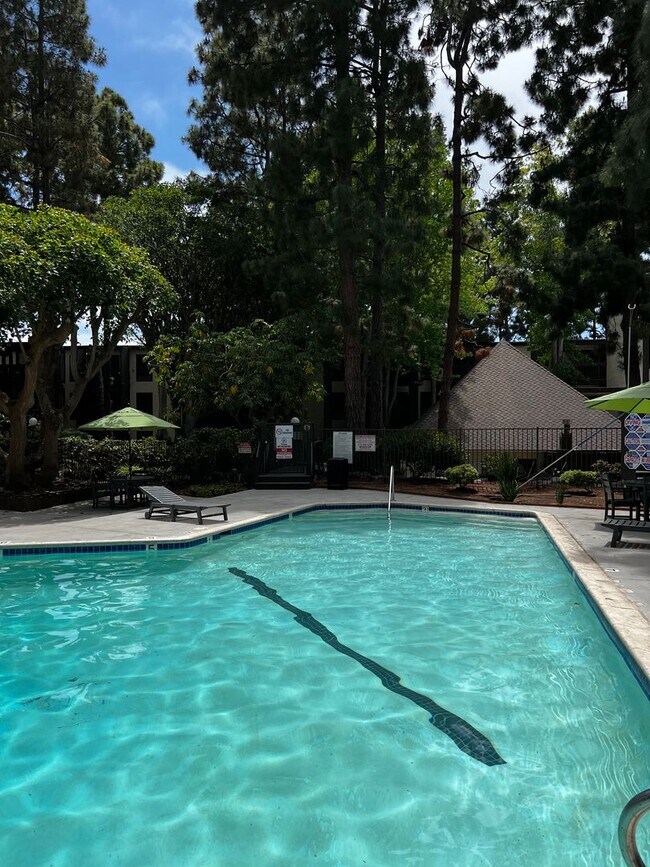 Building Photo - Two Bedroom One Bath Condo for Rent in Pla...