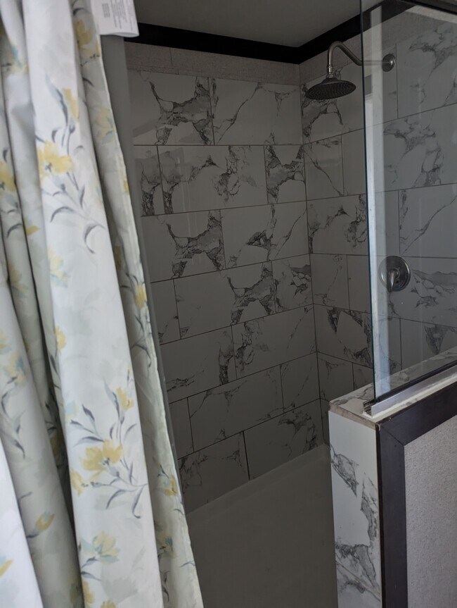 Walk in and walk back to shower - 179 Davis Rd