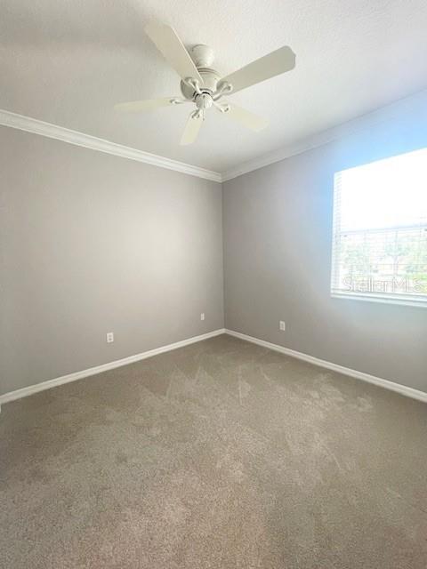 Building Photo - 8153 Stone Leaf Ln