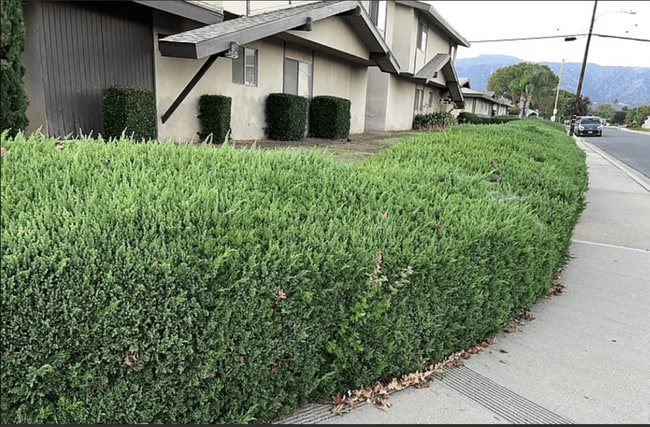 Building Photo - 2411 Pattiglen Ave