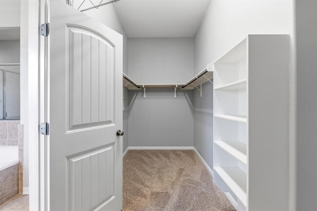 Building Photo - 2508 Hilltop Divide Ln