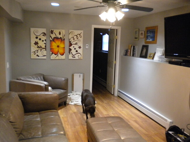 basement living room - 101 Allston Street