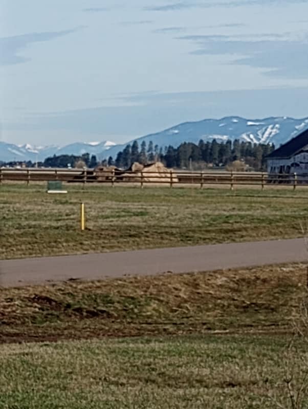 Building Photo - 1097 Tree Farm Rd