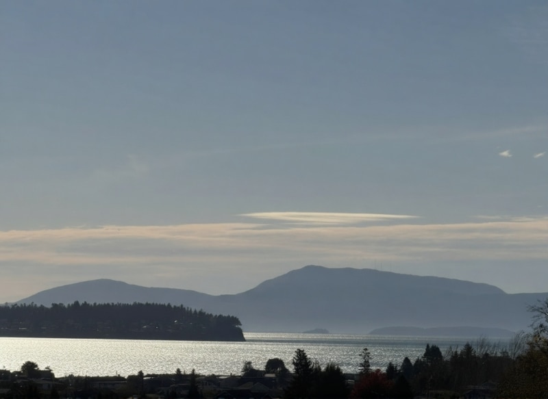 Building Photo - 8450 Treevue Rd