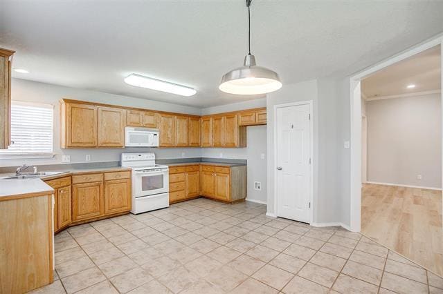 Building Photo - 543 Thistle Meade Cir