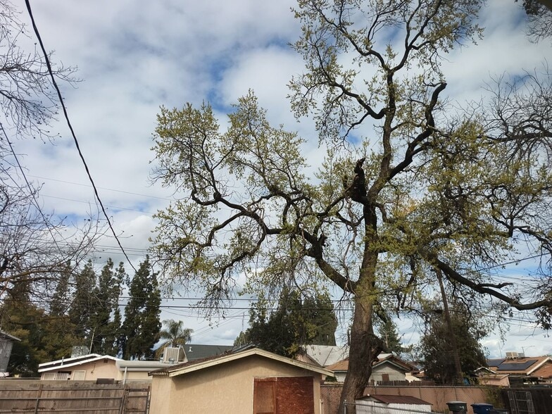 Building Photo - 3035 E El Monte Way