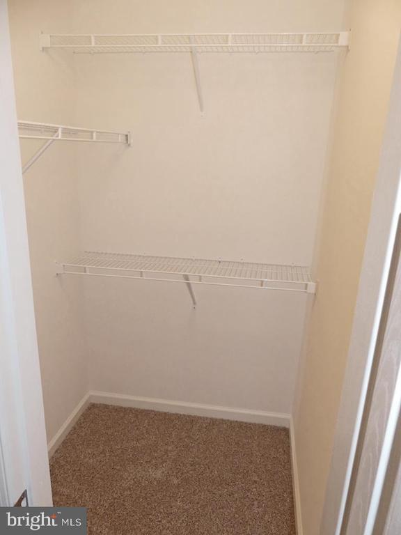 Building Photo - 1402 Golden Rod Ct