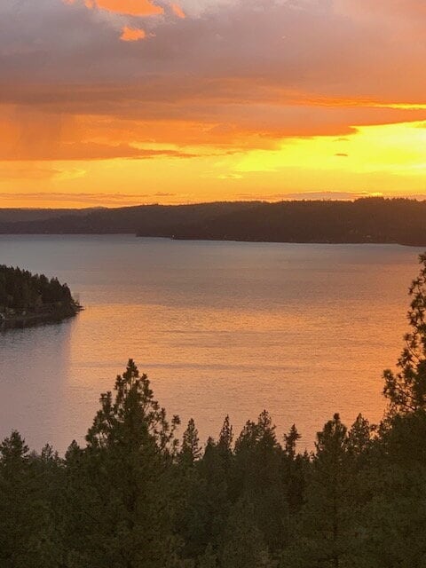 Building Photo - 2BR, 2BTH Executive Log Cabin Living Overlooking Carlin Bay on Lake Coeur d'Alene