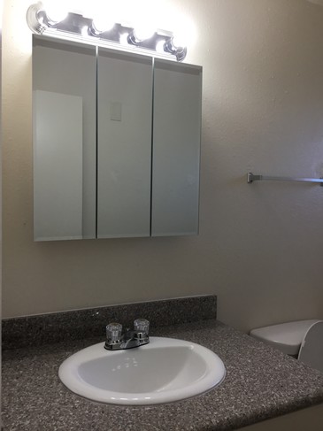 TOWN HOUSE BATHROOM. GRANITE COUNTER TOPS - Alder Village