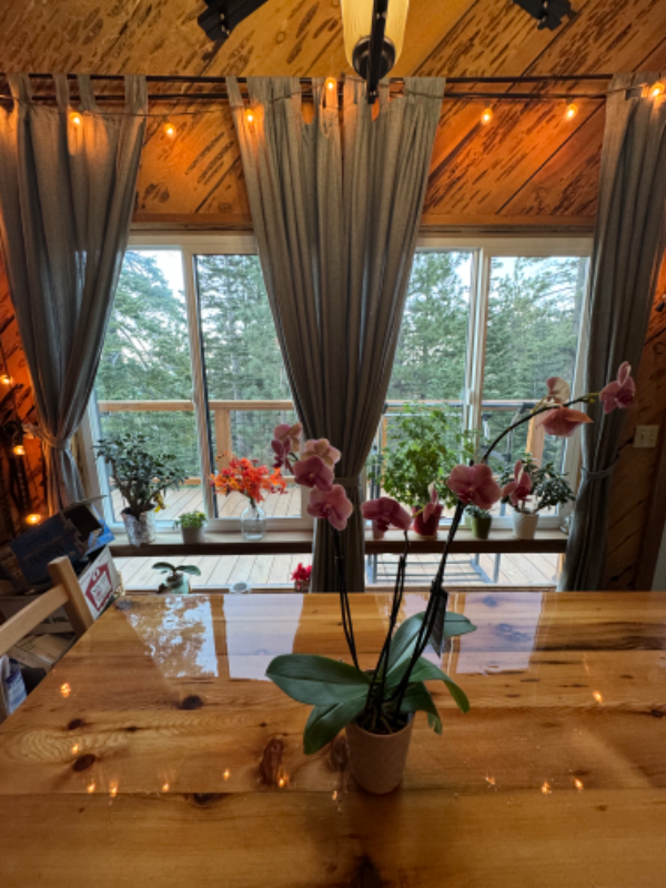 Building Photo - 355 Tramway Dr