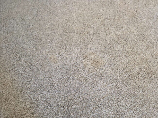 Building Photo - Spacious 4-Bedroom Home for Rent in Kings ...