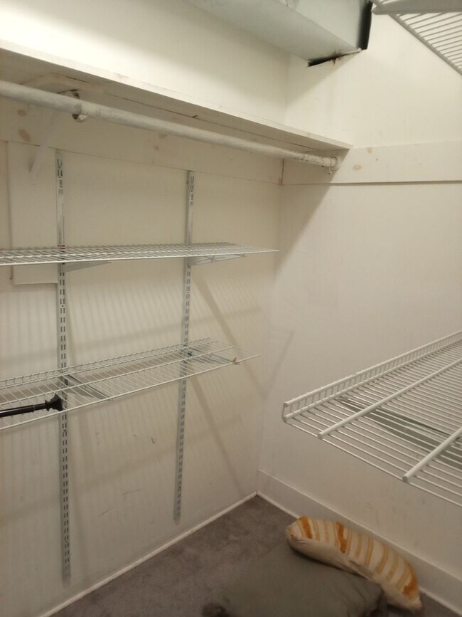 Building Photo - Quiet block, cozy home with extra touches