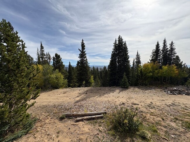 Building Photo - 2 large storage sheds! Starlink! Great Views!