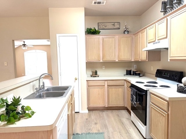 Building Photo - Beautifully Designed Home New Flooring throughout