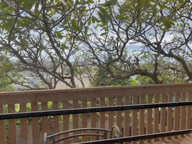 Building Photo - Breezy Fresh, Freshly Renovated 2/1 at Makaha Valley Plantation