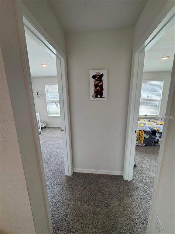 Building Photo - 5838 Freshwater Cyn Dr