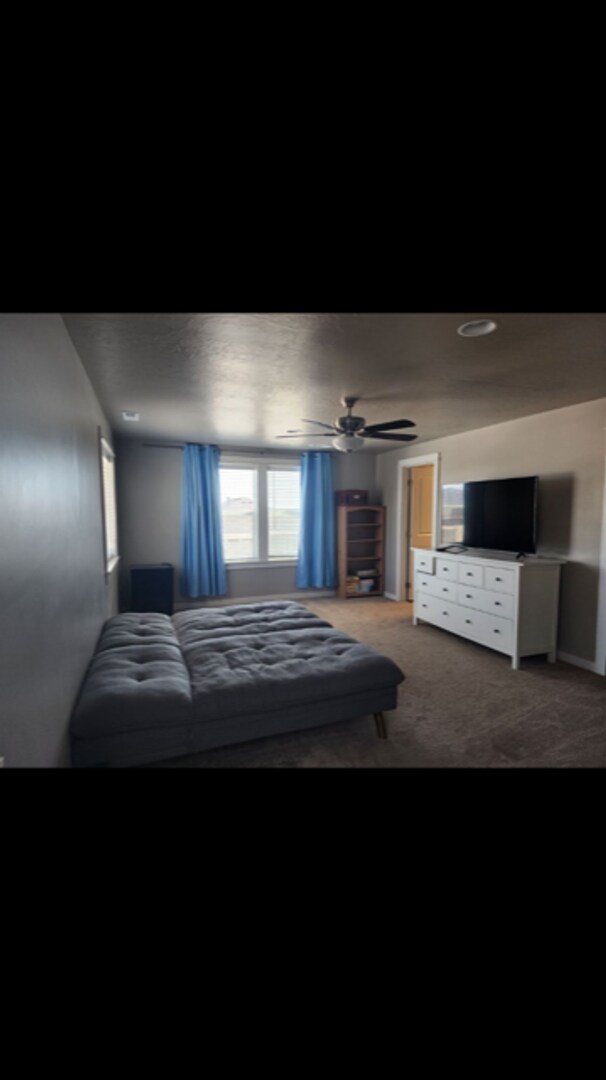 Building Photo - 4 bedroom, 3 full bath home  -Star