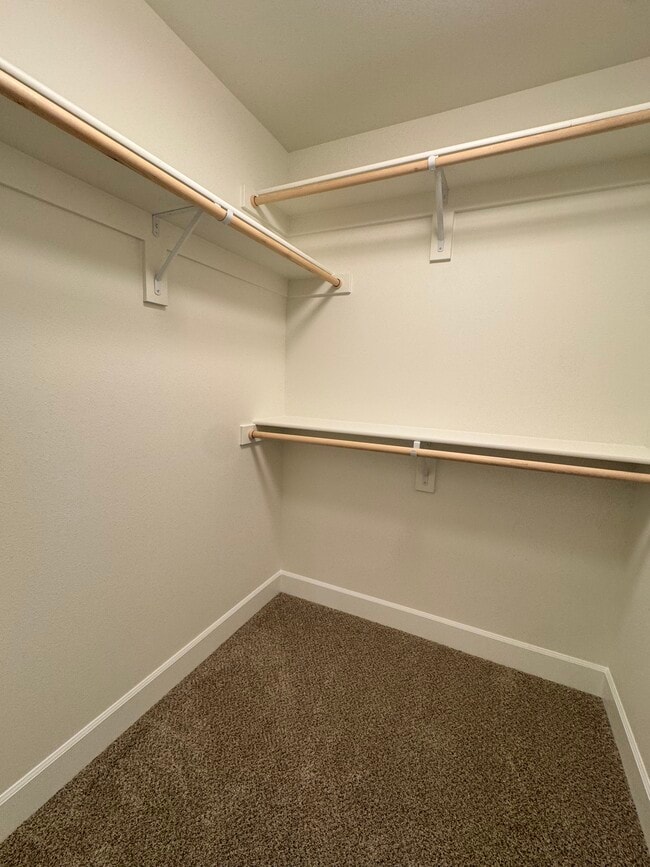 Building Photo - 507 Carol Ave